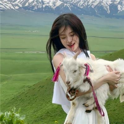 战地狮吼 在线观看